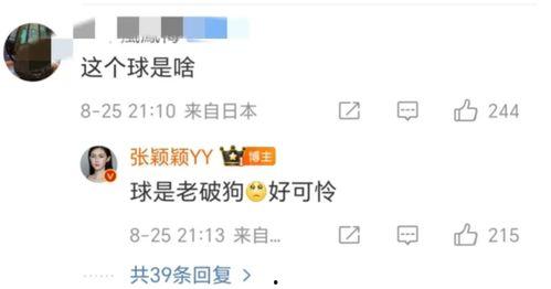 张颖颖爆料分析最新